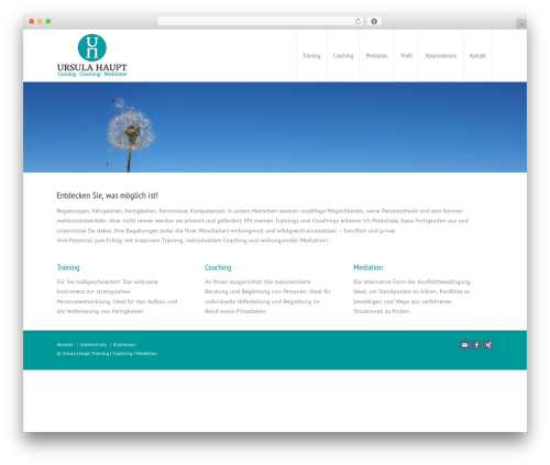Wpbits addons for elementor pro WordPress plugin - haupt-coaching.de