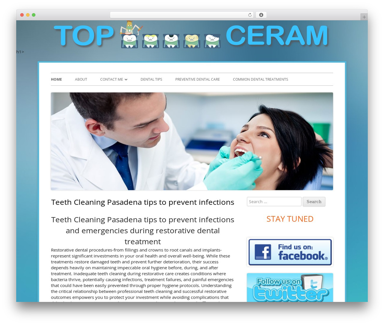 Tiny Framework free WP theme - topceram.net