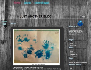 WordPress website theme Pellucid Dashed WordPress website theme Pellucid Dashed