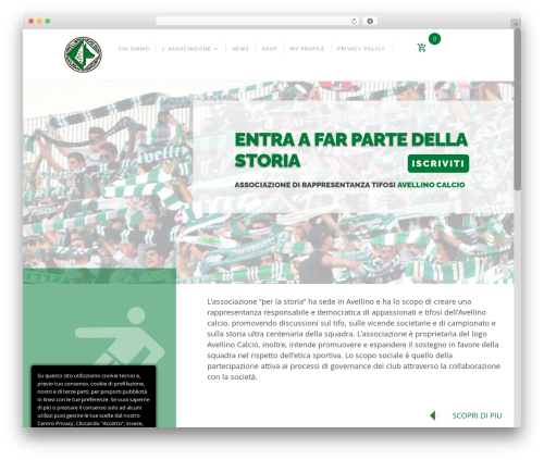 Itr popup WordPress plugin - usavellino1912.org