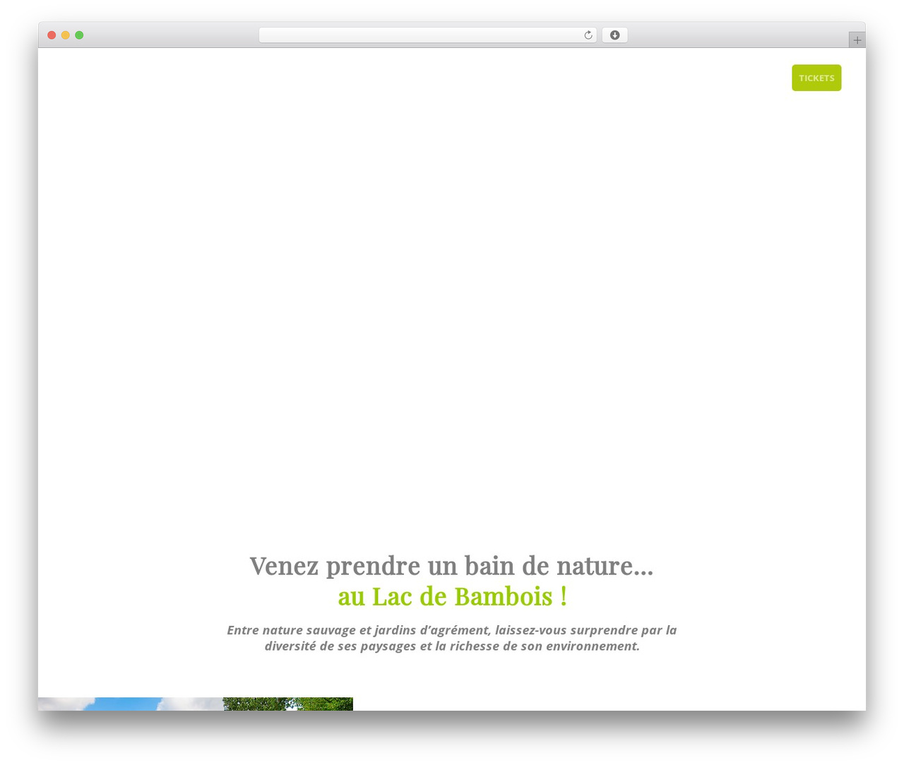 Create WordPress theme - lacdebambois.be Create WordPress theme - lacdebambois.be
