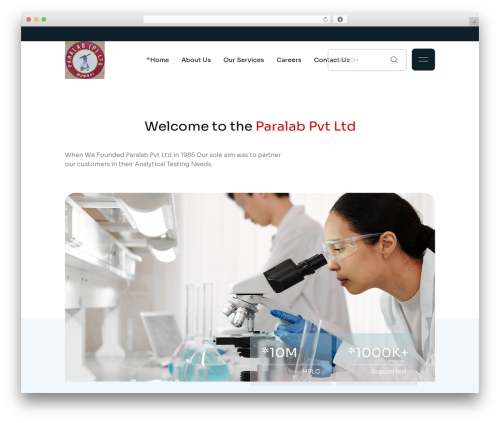 Marity WordPress theme - paralab.in