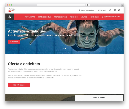 Rdv timetable WordPress plugin - tortosasport.cat