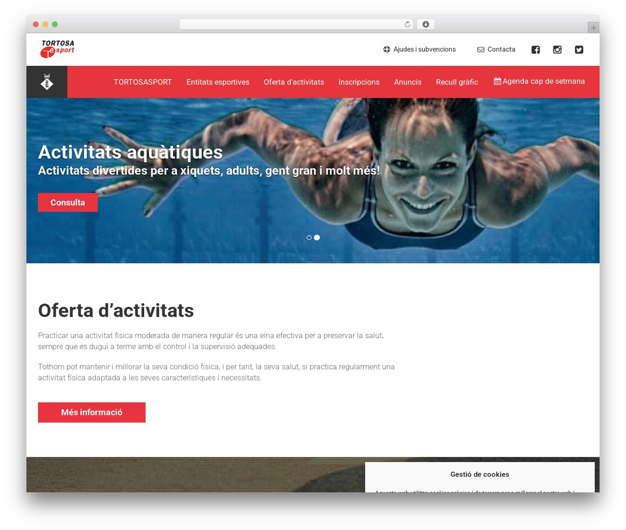 smartweb theme WordPress - tortosasport.cat smartweb theme WordPress - tortosasport.cat