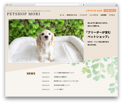 Block editor custom WordPress plugin - petshopmori.com