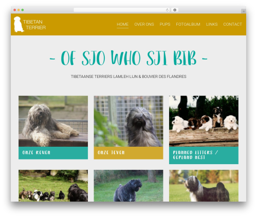 Easy SwipeBox (easy-swipebox) free WordPress plugin - tibetan-terrier.nl