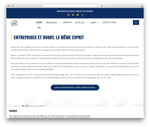 BigSlam WP theme - entreprises-asmenmelees.com