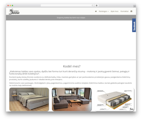 Toolset Starter top WordPress theme - silalesbaldai.lt