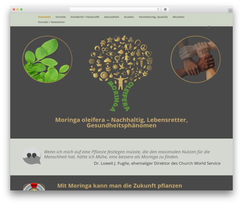 SKT Skill Bar (skt-skill-bar) free WordPress plugin - moringa-oleifera.bio