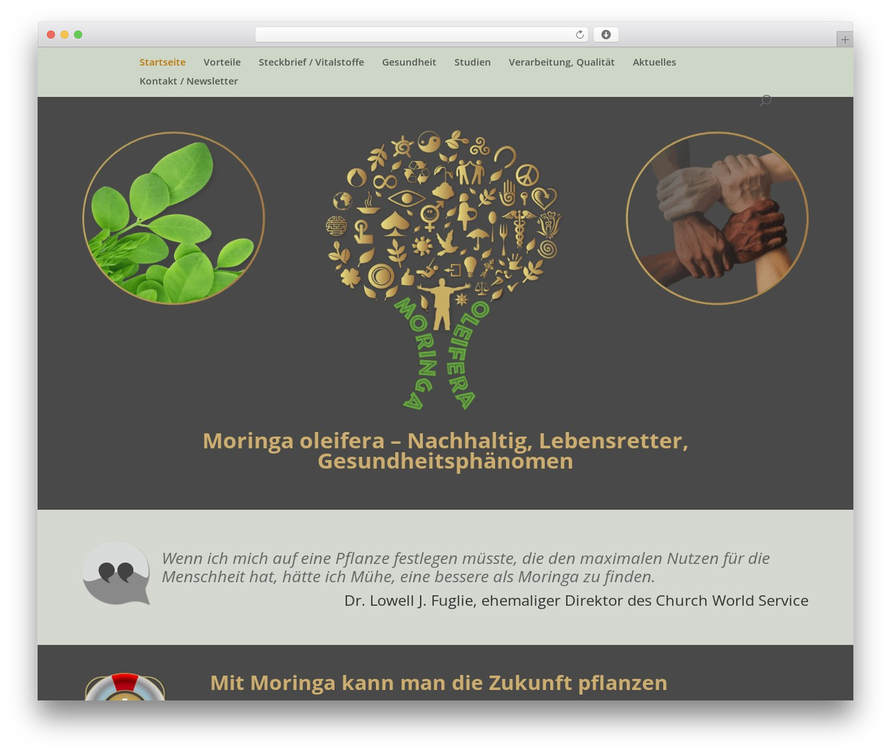 WordPress theme Divi - moringa-oleifera.bio