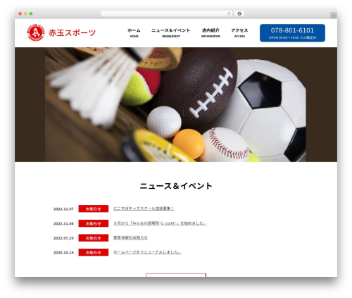 WordPress theme Themify Basic - akadama-sports.com