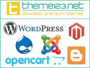 WordPress website theme Theme by MD