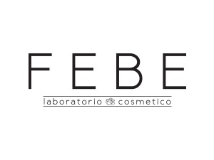 Febe WordPress theme