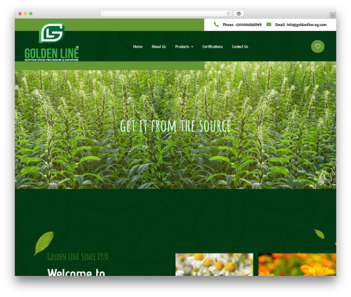 Foodano food WordPress theme - goldenline-eg.com/web