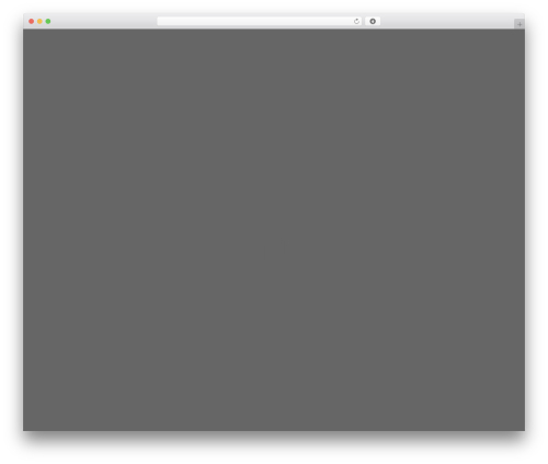 Builder counter WordPress plugin - chicksnus.se