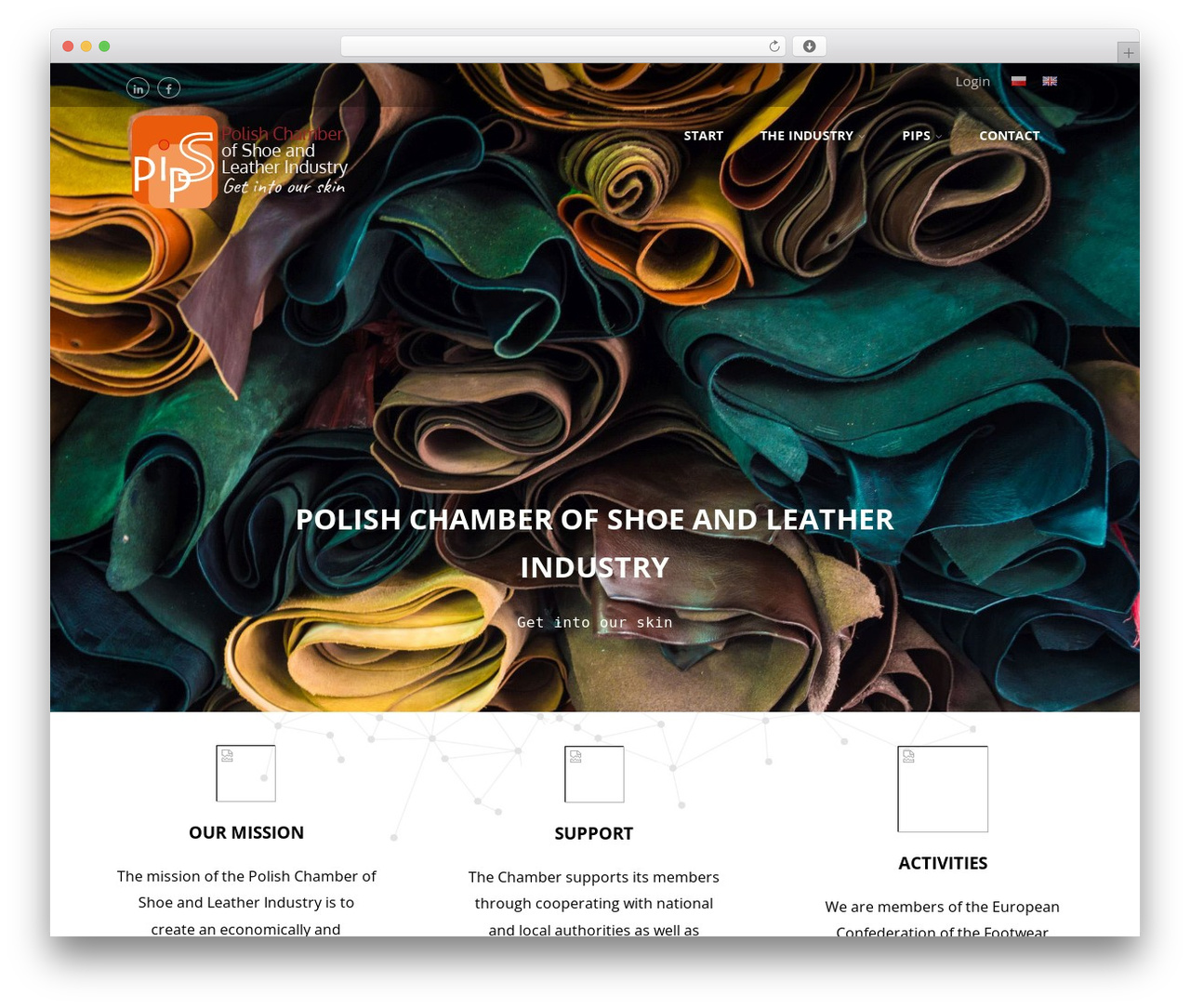 WordPress theme Optimizer PRO - pips.pl
