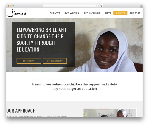 X email mailchimp WordPress plugin - jiamini.org