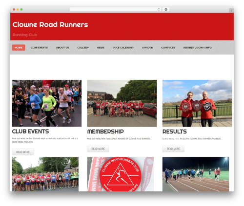 Wp excel cms WordPress plugin - clowneroadrunners.org