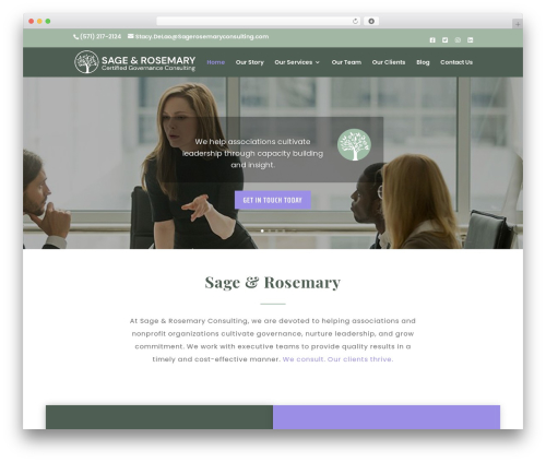 Divi WordPress theme - sagerosemaryconsulting.com