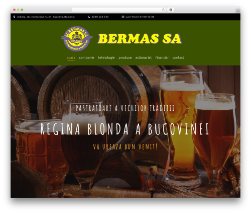 Power builder master WordPress plugin - bermas.ro