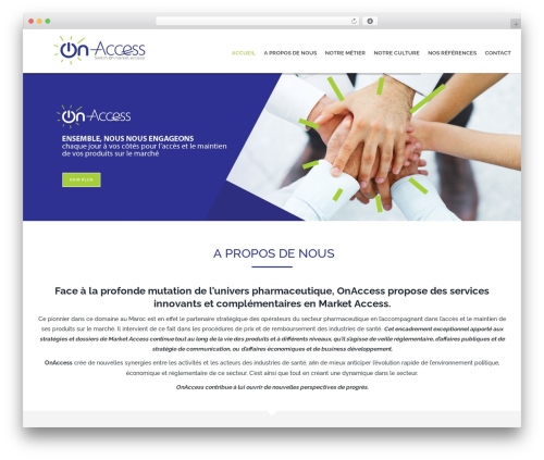 WordPress theme Flex - onaccess.org