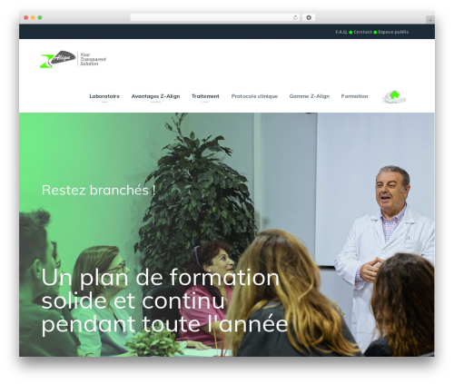 WordPress theme StartFlow - doc.z-align.com