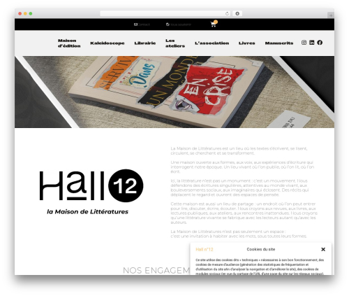 Kliken ads pixel for meta WordPress plugin - hall12.fr
