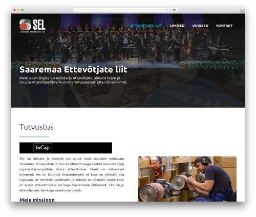 WordPress theme sel theme - seliit.ee