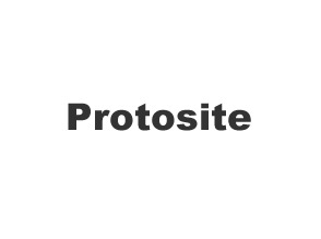 Protosite (parent theme) WordPress theme by Mikko Paltamaa / Konsepto