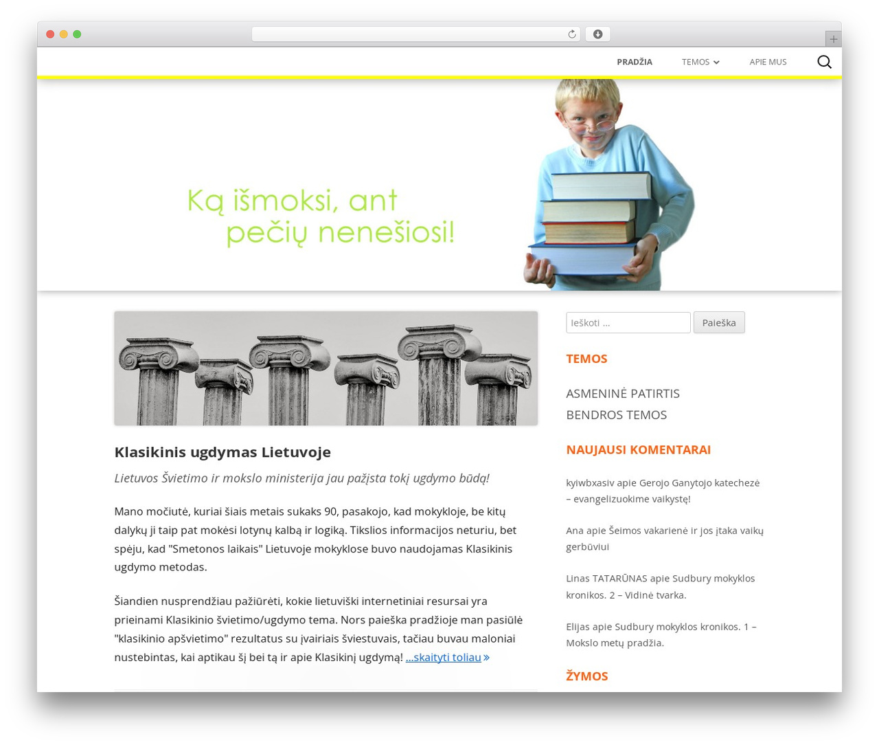 Tiny Framework free WordPress theme - mokykla.org Tiny Framework free WordPress theme - mokykla.org