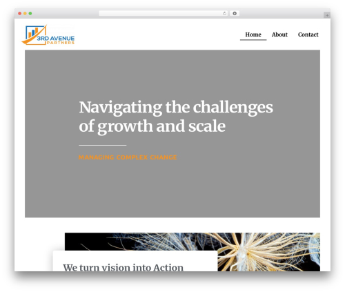 Webify WordPress theme - 3rdavenuepartners.com