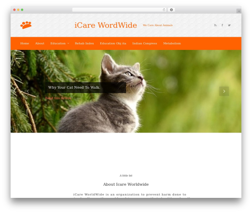 evolve free WordPress theme - icare-worldwide.org