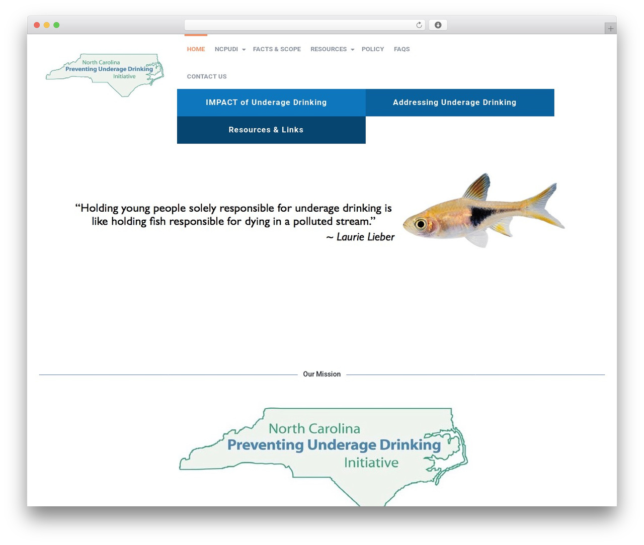 WordPress theme MediPlus - ncpudi.org