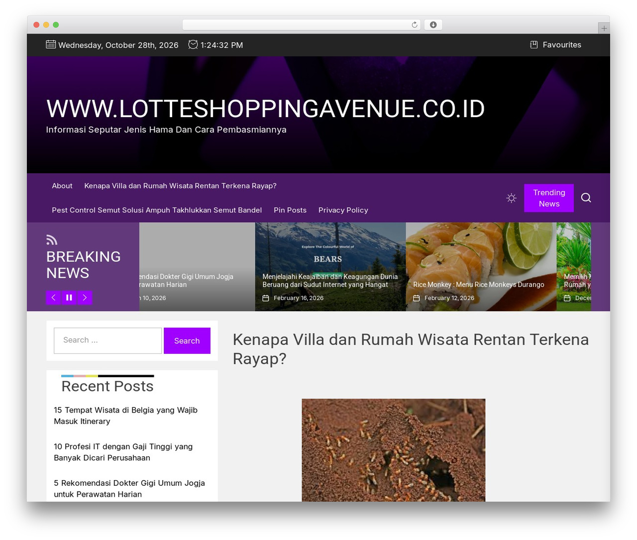 WordPress theme Veritable - lotteshoppingavenue.co.id