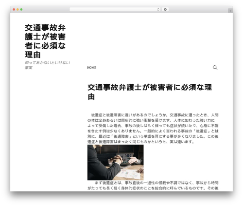 Write best WordPress theme - tourbaycitymi.org