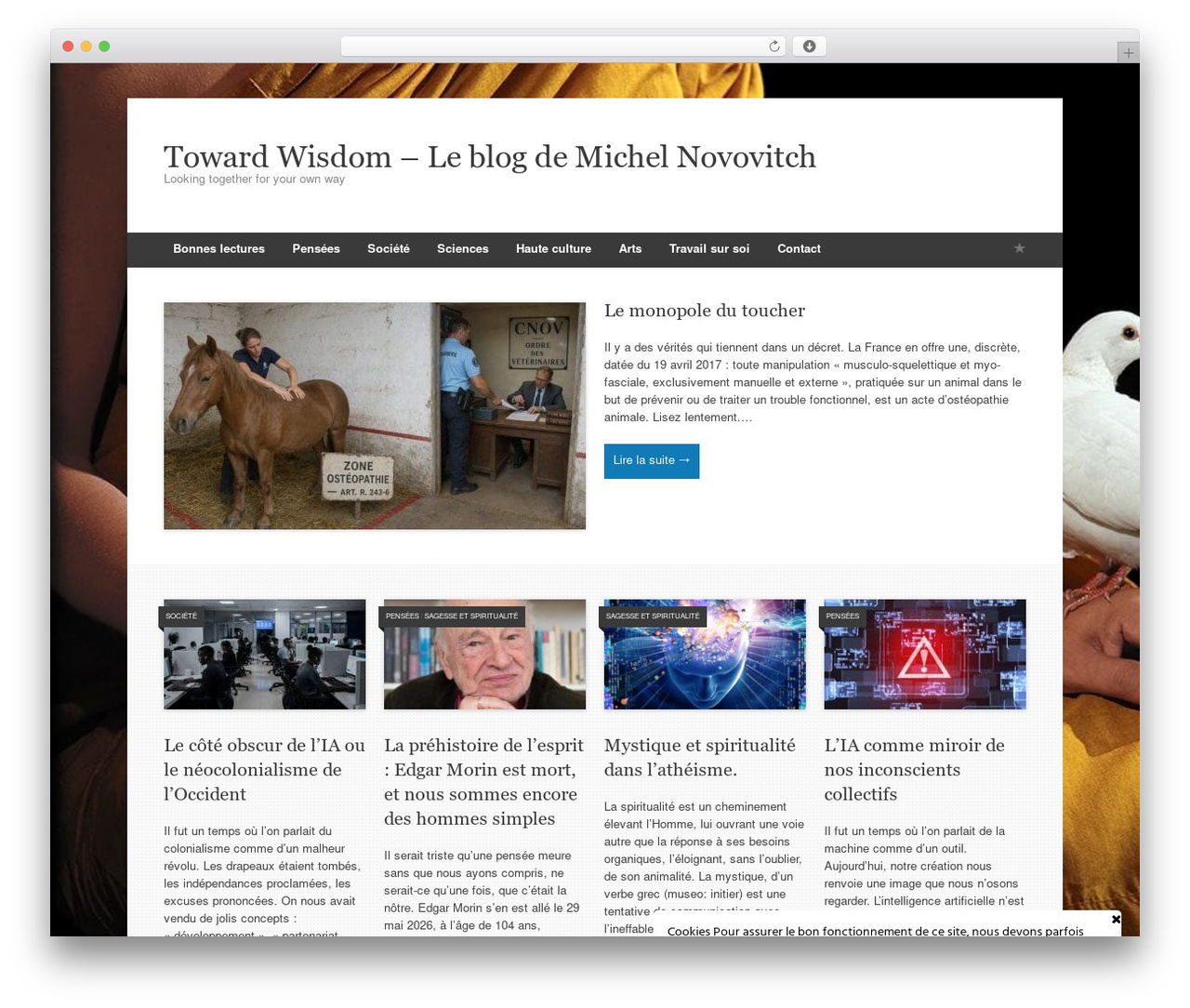 Expound WordPress blog theme - towardwisdom.org