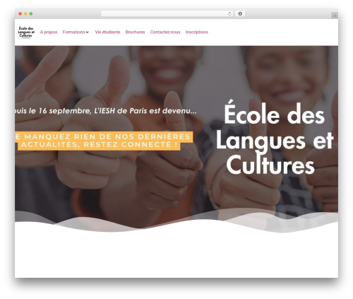Hello Elementor theme WordPress free - ieshdeparis.fr
