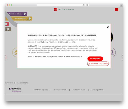 Natix WordPress theme - bookassurance-nonvie.com