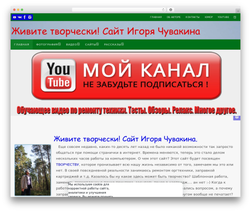 Rucookie WordPress plugin - igorchuvakin.ru