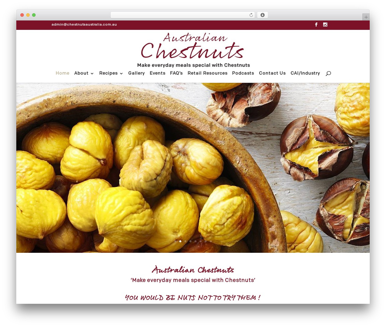 Theme WordPress Divi - chestnutsaustralia.com.au