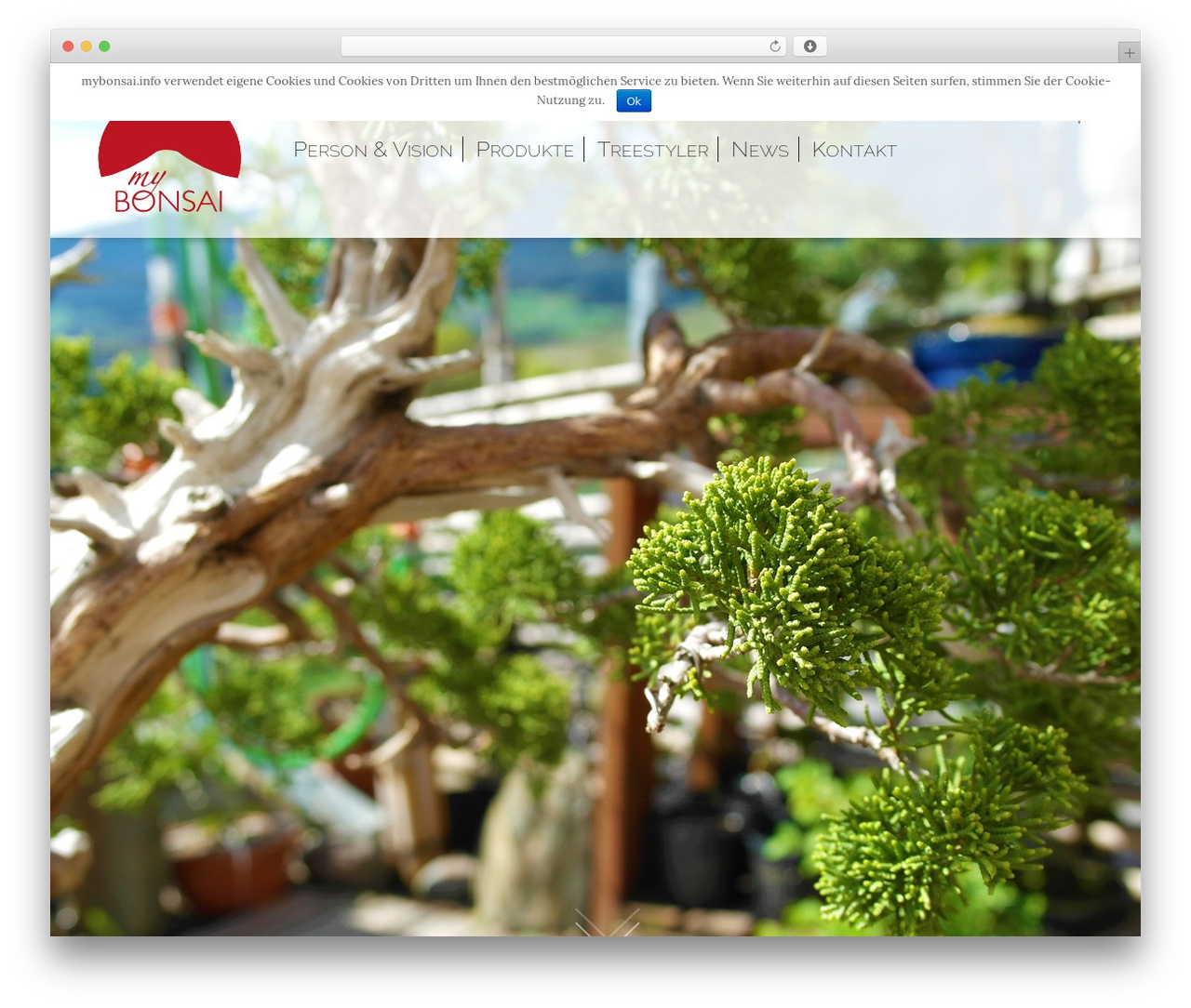 wipptech wordpress template WordPress theme - mybonsai.info wipptech wordpress template WordPress theme - mybonsai.info