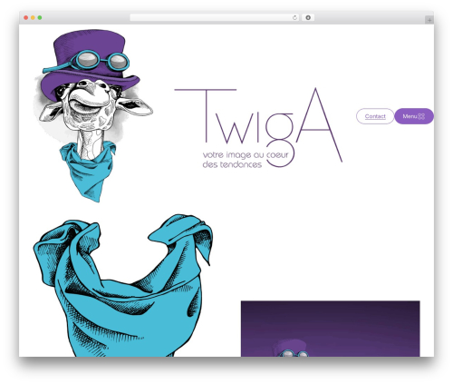 Netdev footer WordPress plugin - twigacreation.com