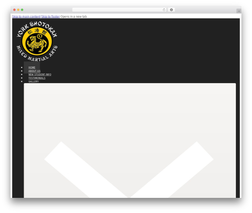 Bricks WordPress theme - yorkshotokan.com