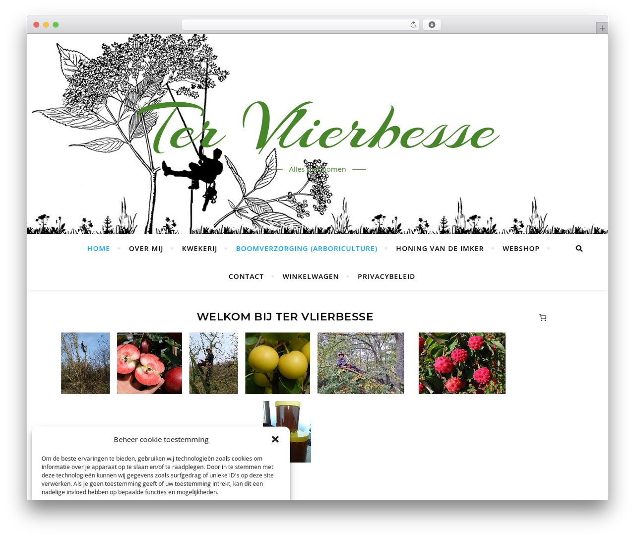Bard WordPress theme - tervlierbesse.com