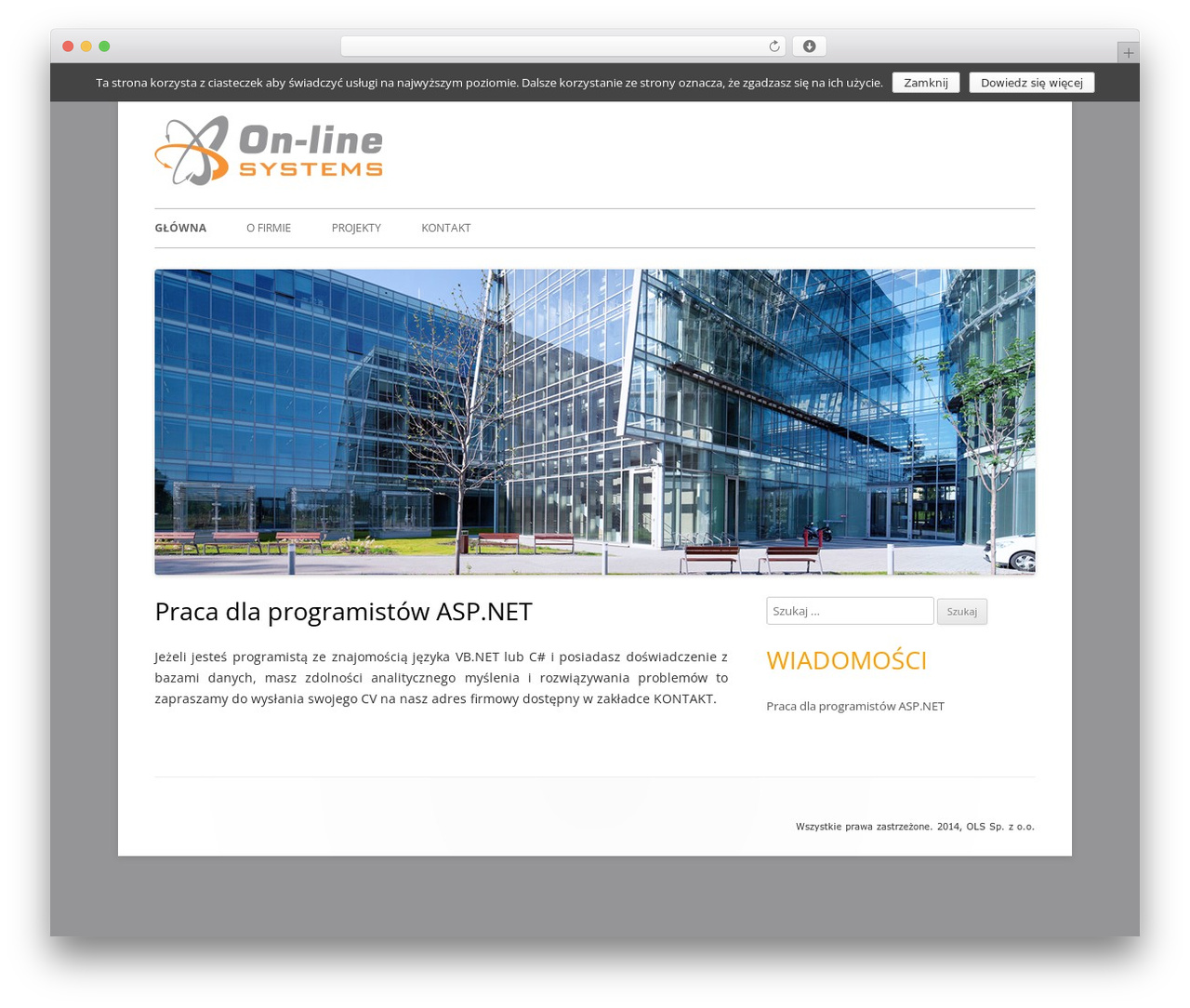 Theme WordPress Tiny Forge - ols.com.pl