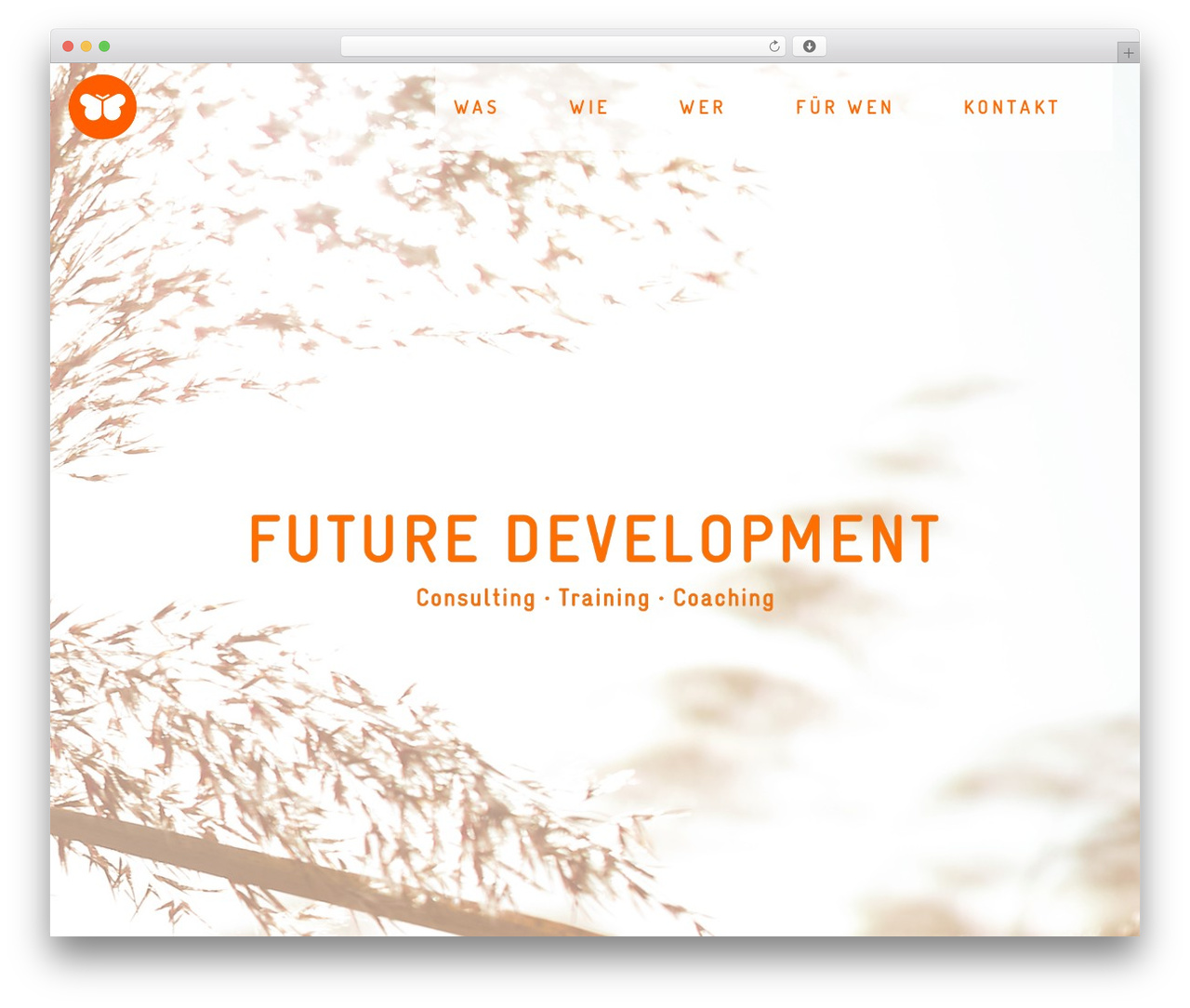 WP theme Lambda - future-development.net