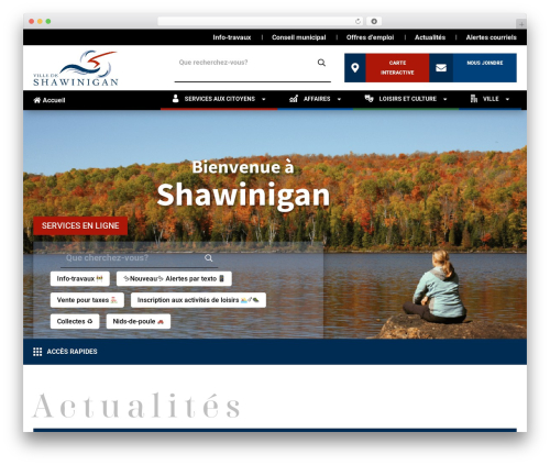 Divi theme WordPress - shawinigan.ca