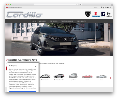 GestionaleAuto.com WordPress theme - cardilloautomobili.it