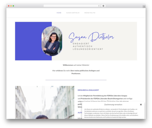 Wyde core WordPress plugin - susandiethelm.ch