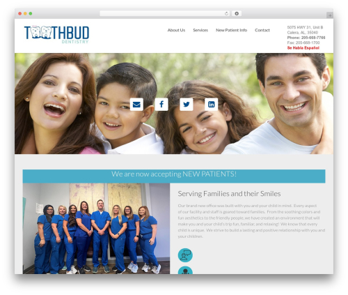 Simple WordPress theme design - toothbudcalera.com